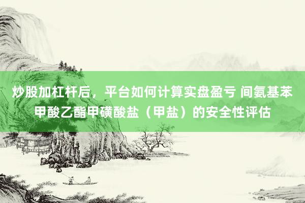 炒股加杠杆后，平台如何计算实盘盈亏 间氨基苯甲酸乙酯甲磺酸盐（甲盐）的安全性评估