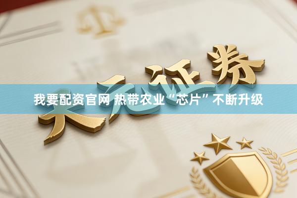 我要配资官网 热带农业“芯片”不断升级