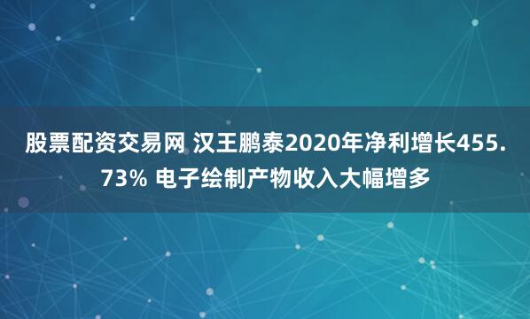 股票配资交易网 汉王鹏泰2020年净利增长455.73% 电子绘制产物收入大幅增多