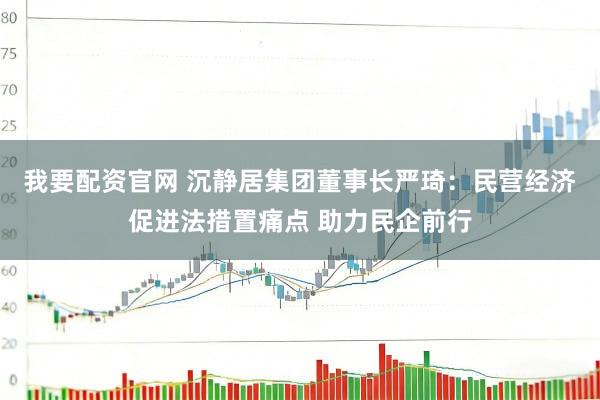 我要配资官网 沉静居集团董事长严琦：民营经济促进法措置痛点 助力民企前行