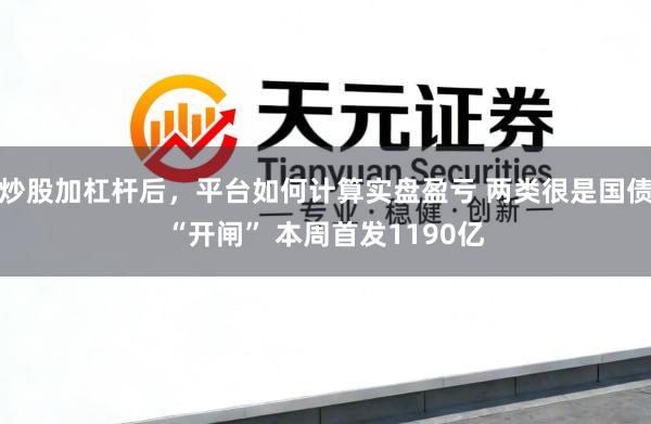 炒股加杠杆后，平台如何计算实盘盈亏 两类很是国债“开闸” 本周首发1190亿